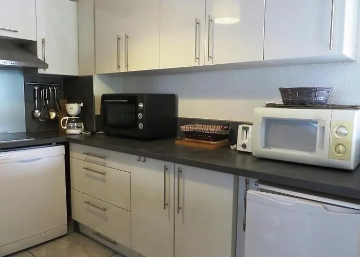 Agreable Renove En Rez De Jardin Avec Parking Agde